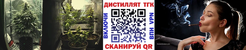 ТГК THC oil  Артём 